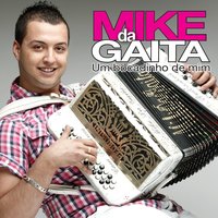 Concertinada moderna - Instrumental - Mike da Gaita