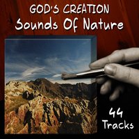 Campfire, Bird Song and Crickets (Ten Minutes) - God's Creation