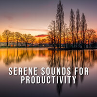 Power Productivity Beats - Sanación Interior