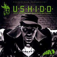 Gemein wie 10 - Bushido