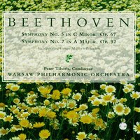 Scherzo And Trio: Allegro (No. 5) - Warsaw Philharmonic Orchestra