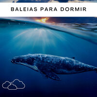 O Canto Das Baleias - Medicina Relaxante & Sons de Baleias para Dormir & Baleias para Dormir