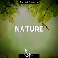 Aide pour l'insomnie (Ambiance de nuit) - Sons de la Nature FR
