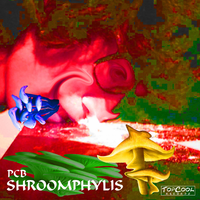 Shroomphylis - PCB