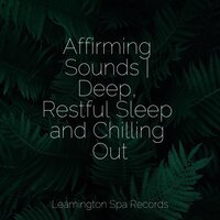 Unwind in the Tropics - Elements of Nature & Zona Música Relaxante & Academia de Música con Sonidos de la Naturaleza