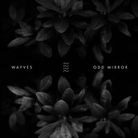 The Void Stares - WAYVES