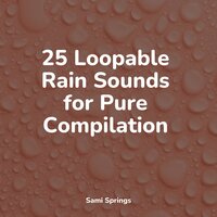Droplets Fall - Natural Sound Makers & Relaxation & Unforgettable Paradise SPA Music Academy