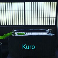 sirotoao - Michiru Aoyama