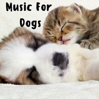 Chill Music For Dogs - Music for Dogs & Music for Dogs Peace & Relaxing Puppy Music & Calm Pets Music Academy