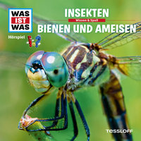 Bienen und Ameisen - Teil 19 - Was Ist Was