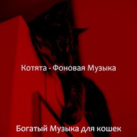 Впечатление (Кошки) - Богатый Музыка для кошек