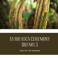 Astral Journey - Tale of the Shaman