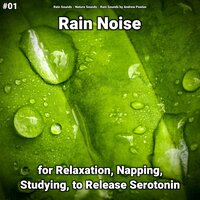 Rain for Happiness - Rain Sounds & Nature Sounds & Rain Sounds by Andrew Pawlas
