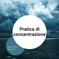 Benessere - Sotto la pioggia - Suoni Della Natura IT