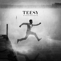 Danke - Teesy