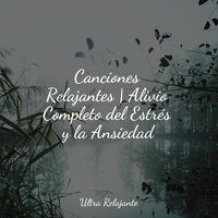 Guía - Piano para Dormir & Canciones Para Niños & Masaje Relajante Masters