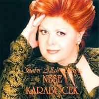 Sevsen Ne Olur - Neşe Karaböcek