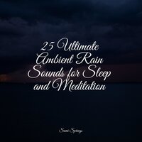 Flowing Rains - Sleep Sound of Nature & Relaxation Music Guru & Lush Rain Creators