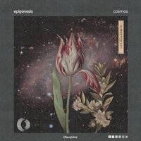 Cosmos - Epigenesis & Disruptive LoFi