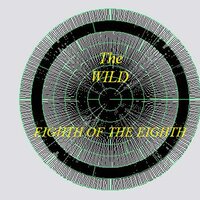 Compact Technology In The Contact Year - The Wild