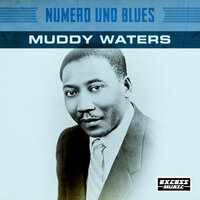 Forty Days And Forty Nights - Muddy Waters