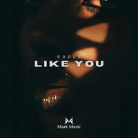 Like You - Rodle