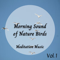 Morning Meditation - The Friendly Piano & Nature of Sweden & The White Noise Zen & Meditation Sound Lab