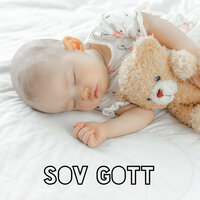 Baby Sömn - Avslappning Musik Akademi