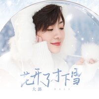 花开了才下雪 - 大潞