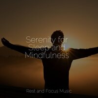 Cosmic Drift - Sleep Meditation Dream Catcher & Música para Massagem Especialistas & Sounds of Nature White Noise for Mindfulness Meditation and Relaxation