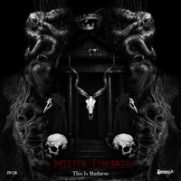 Paranoia - Mister Tenebrio