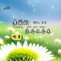 亲爱的你会不会来 - 听月