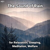 Meditation Audio - Calming Sounds & Rain Sounds & Nature Sounds