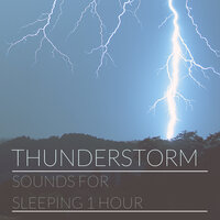 Sleeping 1 Hour - Mind Relaxing
