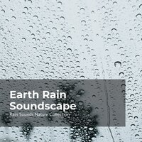 Songbirds in Cloudburst - ASMR Rain Sounds & Rain Sounds Nature Collection & Sleepy Rain