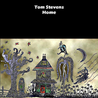 Flame Turns To Blue - Tom Stevens