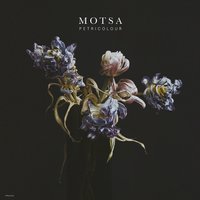 Petrichor - Sophie Lindinger & MOTSA