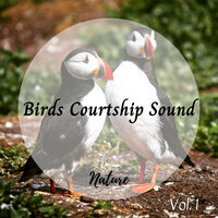 Nature's Medicine - Calming Beats & Relaxed Minds & White Noise Research