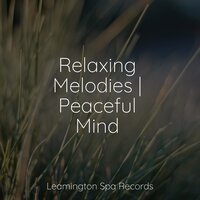 Sleep Aid - Academia de Meditação Buddha & Tibetan Singing Bowls for Relaxation & Nature & Sounds Backgrounds