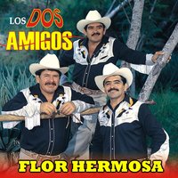 Quisiera Ser Pajarillo - Los Dos Amigos