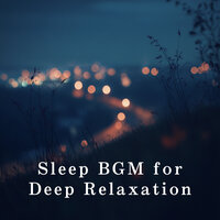 Silent Calm Embrace - Relaxing Bgm Project
