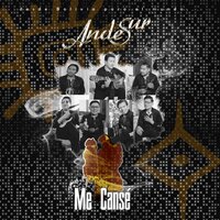 Me Cansé - Andesur