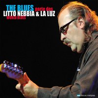 You've Really Got a Hold on Me - Litto Nebbia
