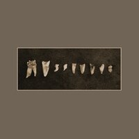 Meander - Pedestrian Deposit