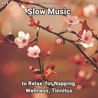 Slow Music, Pt. 64 - Soothing Music & Relaxing music & Yoga