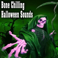 Howling at the Moon - The Hollywood Edge Sound Effects Library