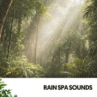 Ambient Escape - Rain Wonder & Water Science & Musica Para Dormir