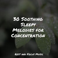 Autumn Falls - Oasis de Détente et Relaxation & Serenity Spa Music Relaxation & Academia de Música para Massagem Relaxamento