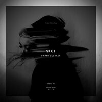 Sabotage - Skot