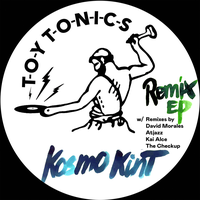 Fake Love - Kosmo Kint & Kai Alcé